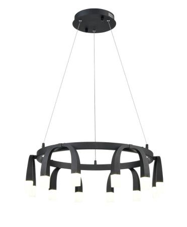 Светильник подвесной Vele Luce Negro 493 (Негро 493) VL7102P12