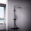 Душевая стойка Damixa Scandinavian Pure 936780300 настенная цвет черный Душевая стойка Damixa Scandinavian Pure 936780300 настенная цвет черный