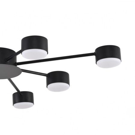 Люстра потолочная Lumion Torina (Торина) 8344/8C