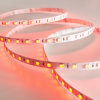Лента светодиодная SignImpress SI-LS5050/24-60-RGB-IP20