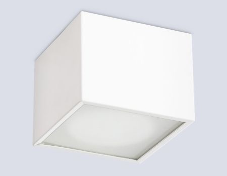 Светильник накладной Ambrella Light IP Protect (ИП Протецт) TN6530