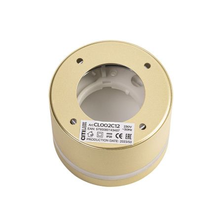 Светильник накладной Citilux Hardy (Харды) CL002C12