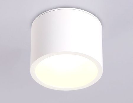 Светильник накладной Ambrella Light IP Protect (ИП Протецт) TN6550