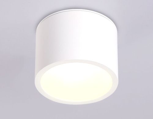 Светильник накладной Ambrella Light IP Protect (ИП Протецт) TN6550 - фото 3