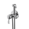 Гигиенический душ со смесителем Remer AL65Z хром