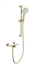 Душевой гарнитур со смесителем Wonzon & Woghand WW-B2052-A-BG настенный золото