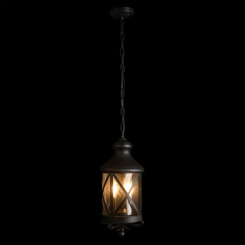 Уличный подвесной светильник Loft It Ferrara 100020P - фото 2