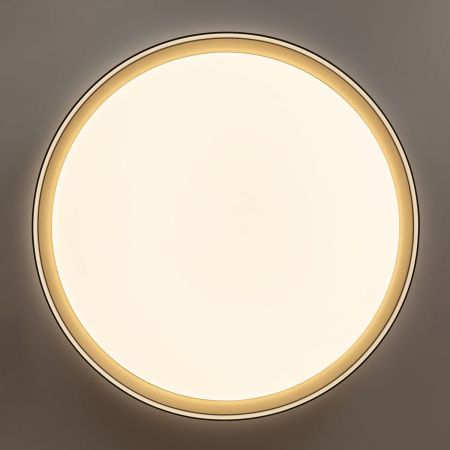 Светильник потолочный музыкальный Citilux Boss (Босс) CL751451G