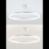 Люстра потолочная Natali Kovaltseva Finam (Финам) LED LAMPS 81121/1C