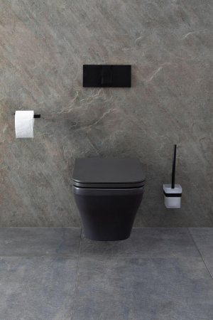 Чаша унитаза подвесная Allen Brau Infinity 4.21011.AN цвет черный без сиденья безободковая каскадный смыв