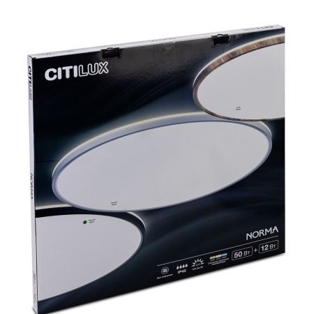 Светильник потолочный Citilux Norma (Норма) CL748601