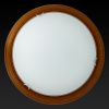 Светильник настенный Toplight Hillary (Хиллары) TL9023Y-02OA