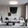 Светильник потолочный Citilux Norma (Норма) CL749400