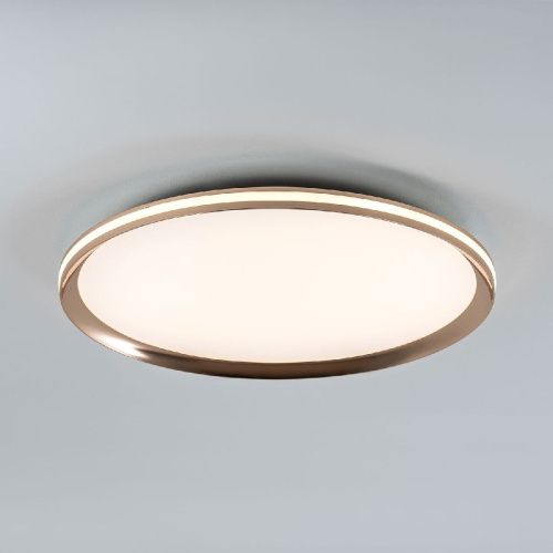 Светильник потолочный LED4U L3020-500 GD - фото 3