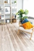 SPC ламинат Alpine Floor Real Wood ECO 2-10 MC Дуб Carry толщина 0.6 см 43 класс 1220х183