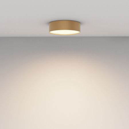 Светильник потолочный Maytoni Technical Zon (Зон) C032CL-24W3K-RD-MG