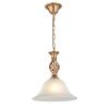 Светильник подвесной Arte Lamp Cono (Цоно) A8391SP-1PB