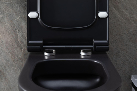 Чаша унитаза подвесная Allen Brau Priority 4.31001.31 цвет черный матовый без сиденья безободковая каскадный смыв