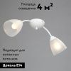 Люстра потолочная Vitaluce V3737 V3737-0/2PL