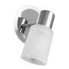 Спот Arte Lamp Cavalletta (Цаваллетта) A4510AP-1SS