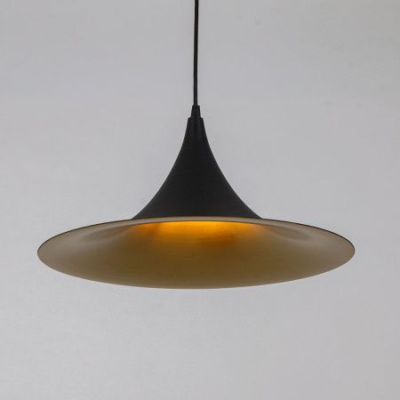 Светильник подвесной Arte Lamp Carmel (Цармел) A7080SP-1BK