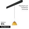 Трековый светильник Lightstar Agola (Агола) PRO810023