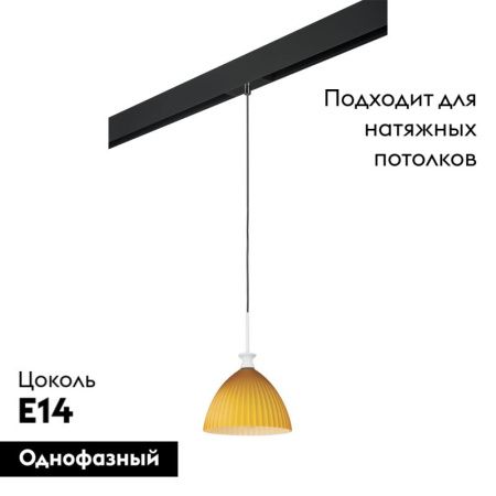 Трековый светильник Lightstar Agola (Агола) PRO810023