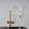 Смеситель для кухни Rose R958G на мойку золото