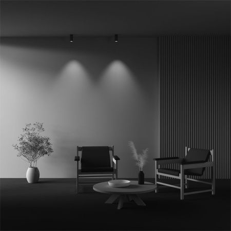 Светильник потолочный Maytoni Technical Focus Led (Фокус) C056CL-L12W4K-W-BS