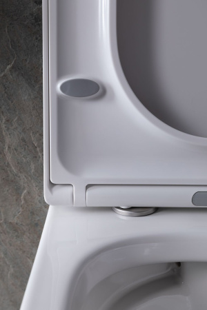 Чаша унитаза подвесная Allen Brau Infinity 4.21004.20 цвет белый без сиденья безободковая каскадный смыв