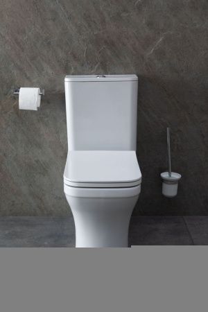 Чаша унитаза напольная Allen Brau Infinity 4.21012.20 цвет белый без бачка с сиденьем микролифт безободковая каскадный смыв