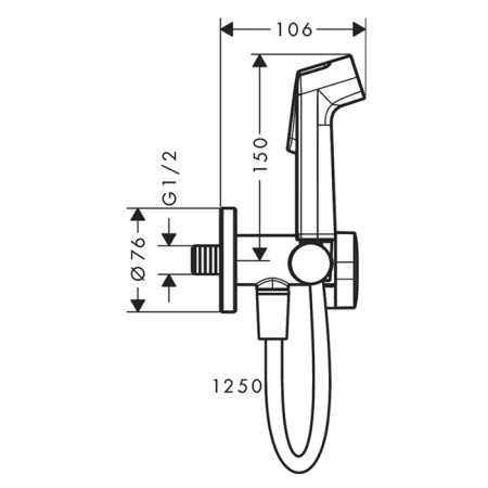 Гигиенический душ со смесителем Hansgrohe Ecostat 29230000 хром
