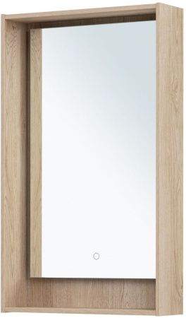 Зеркало с подсветкой Aquanet Милан 00336402 50х80 подвесное