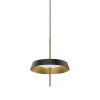 Светильник подвесной Delight Collection MD18001061-1A  black/gold