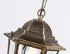 Уличный подвесной светильник Ambrella Light Garden (Гарден) ST2031