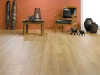 Ламинат Homflor Patio 514 Adams Patio Adams толщина 0.8 см 33 класс 1286х192
