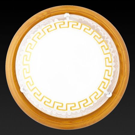 Светильник настенный Toplight Gien (Гиен) TL9173Y-02OA