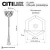 Уличный парковый светильник Citilux Forts (Фортс) CLU09P3