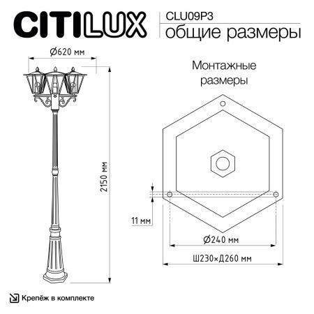 Уличный парковый светильник Citilux Forts (Фортс) CLU09P3