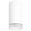 Светильник накладной Lightstar RULLO (РУЛЛО) R4363437