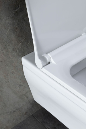 Чаша унитаза подвесная Allen Brau Infinity 4.21011.20 цвет белый без сиденья безободковая каскадный смыв