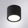 Уличный потолочный светильник Arte Lamp Piautos (Пиаутос) A1913PF-1BK