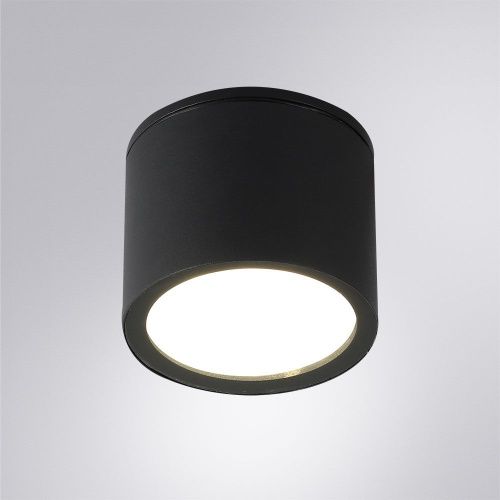 Уличный потолочный светильник Arte Lamp Piautos (Пиаутос) A1913PF-1BK - фото 2