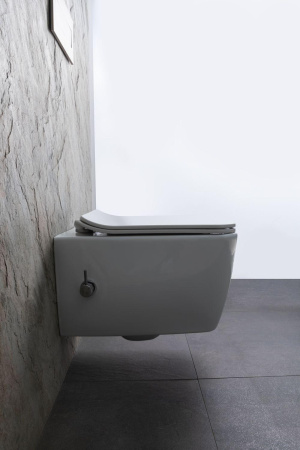 Чаша унитаза подвесная Allen Brau Liberty 4.33009.20 цвет белый без сиденья безободковая каскадный смыв