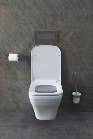 Чаша унитаза подвесная Allen Brau Infinity 4.21011.20 цвет белый без сиденья безободковая каскадный смыв