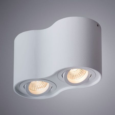 Светильник потолочный Arte Lamp Falcon (Фалцон) A5645PL-2WH