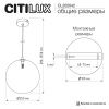 Светильник подвесной Citilux Orton (Ортон) CL202042