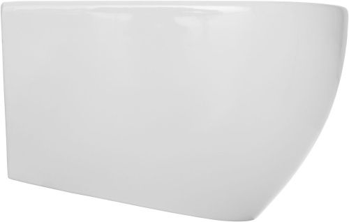 Биде Allen Brau Reality 4.32008.20 подвесное - фото 5