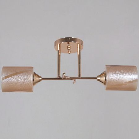 Светильник потолочный Reluce 51460-0.3-02 FG
