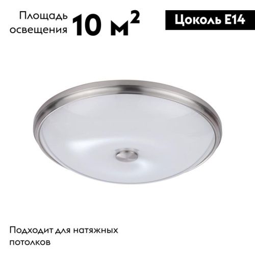 Настенно-потолочный светильник Odeon Light Pelow (Пелов) 4957/5 - фото 2